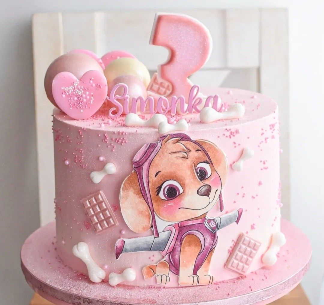 PAW PATROL SKYE CAKE Food Drinks Homemade Bakes On Carousell paw-patrol-skye-cake-food-drinks-homemade-bakes-on-carousell
