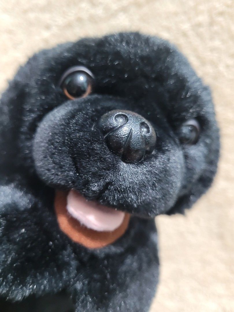 VERY BEAUTIFUL REALISTIC BLACK LABRADOR DOG ANIMAL HAND PUPPET, Hobbies ...