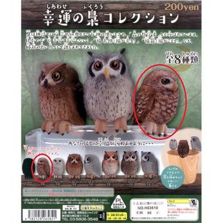 （分類：）位於 。 由 friendlymall 提交（商品編號 1356802424，圖片 1）。簡介： 。