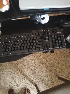 (Category: ) located in . Submitted by druffy (Listing ID 1356702725, Image 1). Description: .