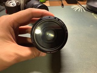 (Category: ) located in . Submitted by outoffocus (Listing ID 1356761332, Image 1). Description: .