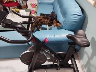 (Category: ) located in . Submitted by fast_rabbit204 (Listing ID 1356748405, Image 1). Description: .