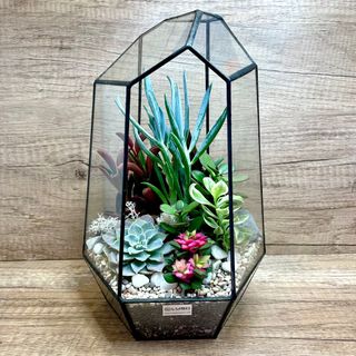 (Category: ) located in . Submitted by lushglassdoor (Listing ID 1356727159, Image 1). Description: .