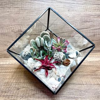 (Category: ) located in . Submitted by lushglassdoor (Listing ID 1356727747, Image 1). Description: .