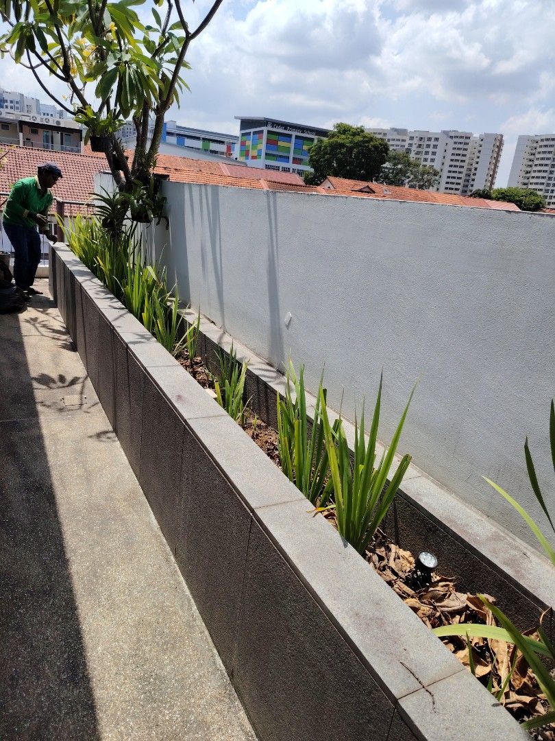 Gardening professional WP 9688132964884979063938112