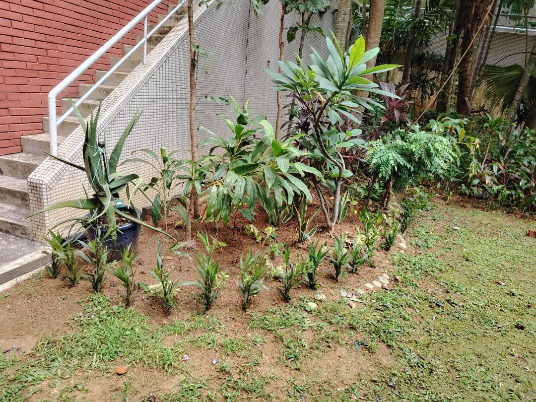 Gardening professional WP 9688132964884979063938114
