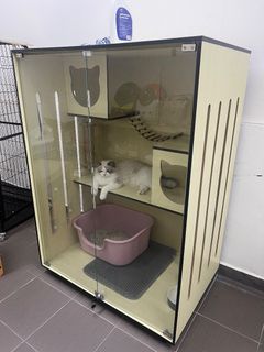 (Category: ) located in . Submitted by furpet (Listing ID 1356662511, Image 1). Description: .
