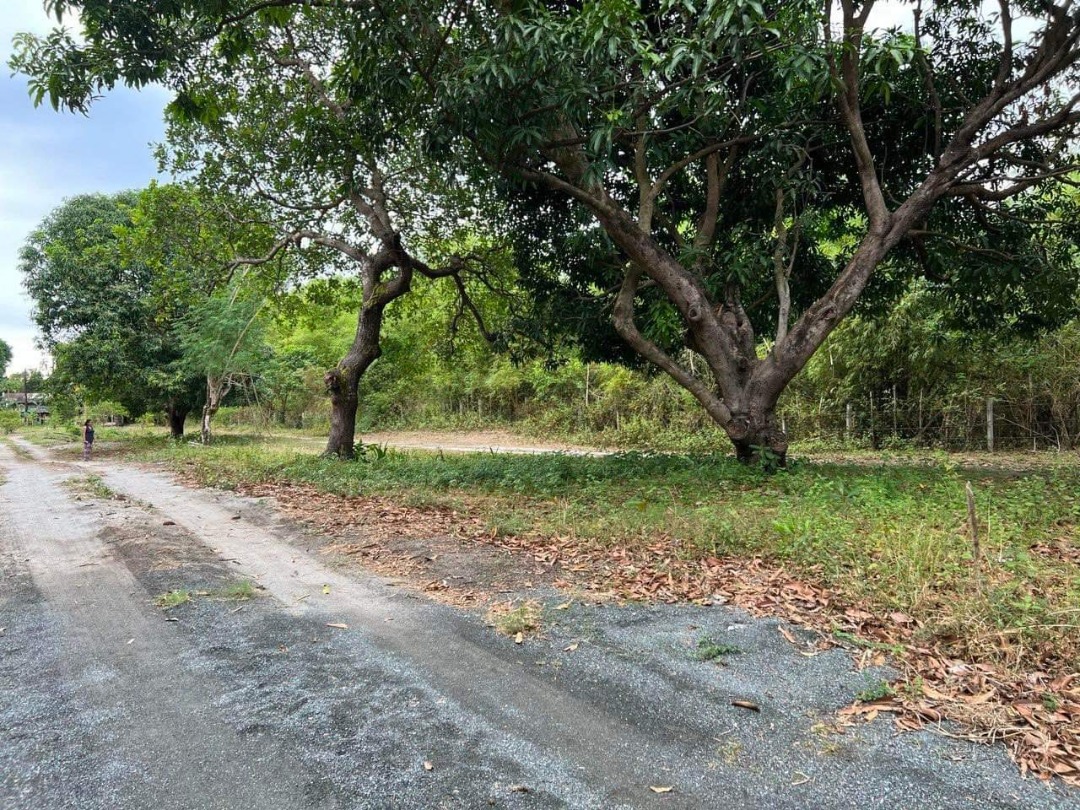 (Category: ) located in . Submitted by victorvale (Listing ID 1356742703, Image 1). Description: .