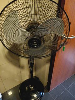 (Category: ) located in . Submitted by kindlejoys (Listing ID 1356625497, Image 1). Description: .