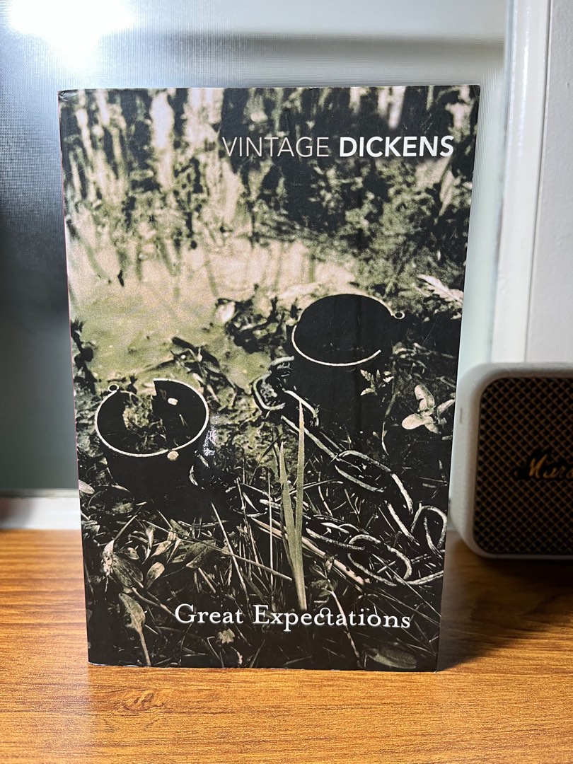 Vintage Classics Charles Dickens: Great Expectations, Hobbies & Toys ...