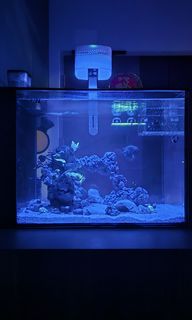 (Category: ) located in . Submitted by calvinksq (Listing ID 1356691436, Image 1). Description: .