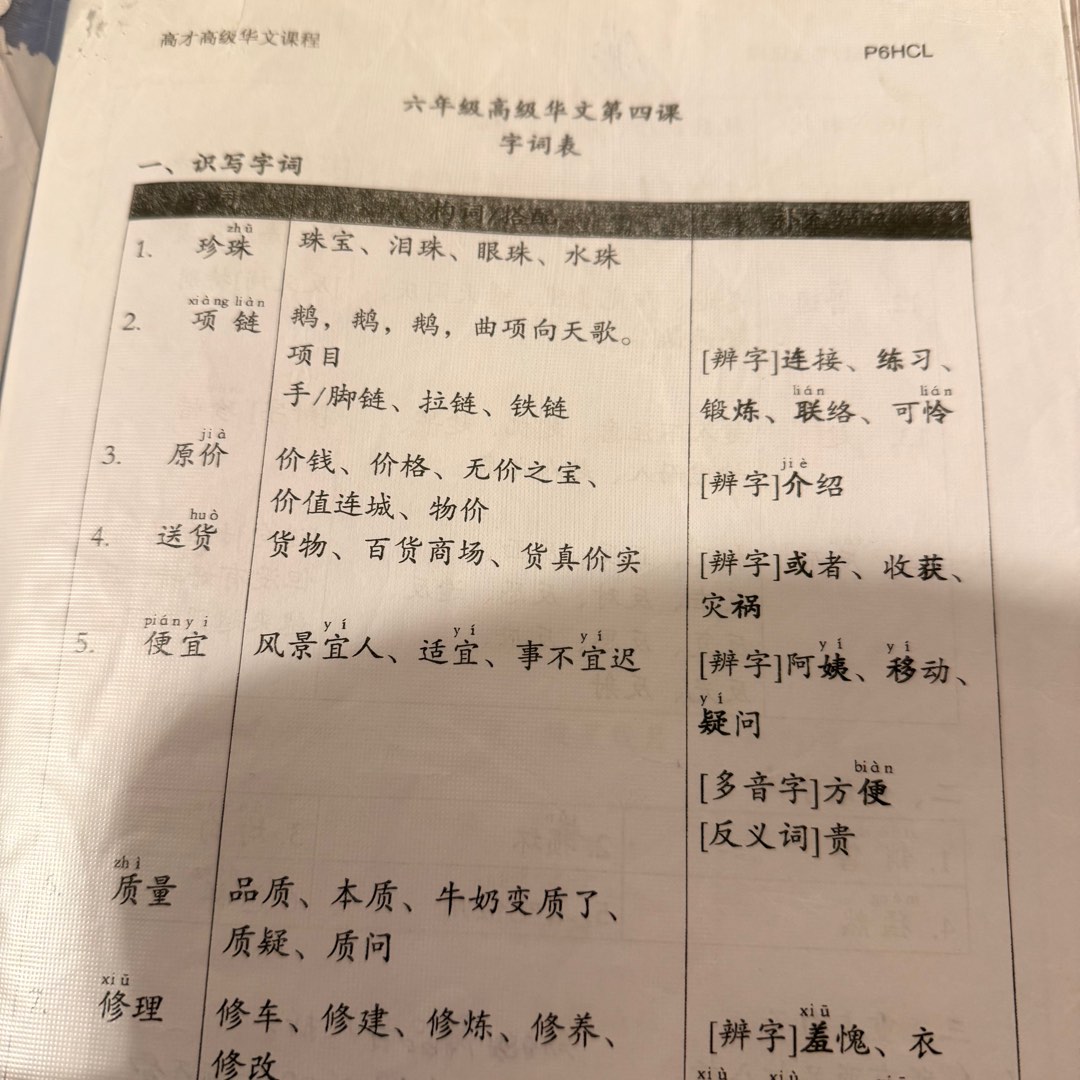 2025 MGS P6 PSLE HIGHER CHINESE VOCAB / ORAL NOTES, Hobbies & Toys ...