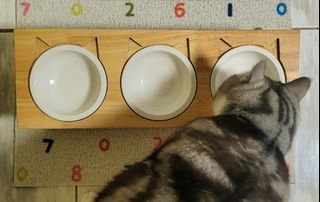 由 54sun75 (刊登 ID 1356976389，圖片 1) 提交，位於 的 (類別：)，說明：。