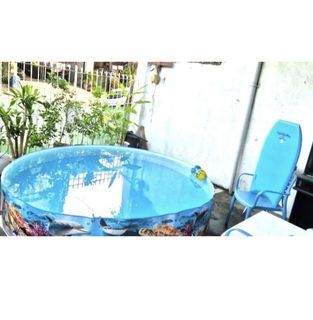 Intex swimming pool store bought from Toys R Us Galleria summer pool non inflatable pool swimming pool kiddie pool summer pool