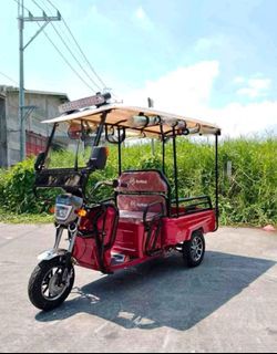Mini Cargo E-Trike With Roof and trapal (60v20ah)1000watts