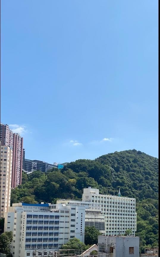 The Consonance - Fully furnished studio63438755703298112