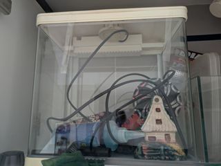 (Category: ) located in . Submitted by SV_SG (Listing ID 1357051169, Image 1). Description: .