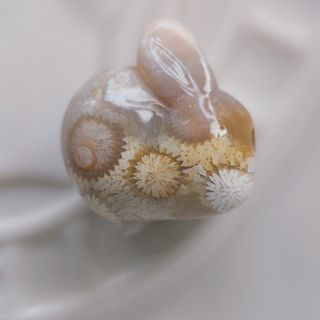 天然珊瑚玉 萌寵兔兔64227740633345110