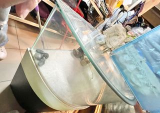 由 jin0930 (刊登 ID 1342923789，圖片 1) 提交，位於 的 (類別：)，說明：。