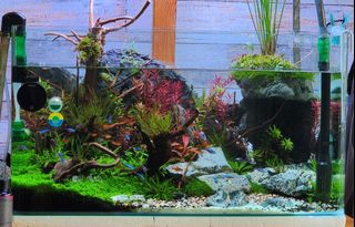 (Category: ) located in . Submitted by ky7123 (Listing ID 1357003907, Image 1). Description: .