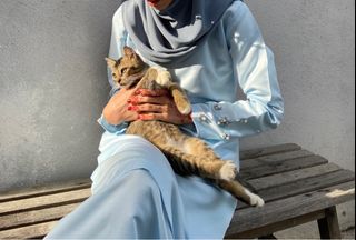 (Category: ) located in . Submitted by bbhsna (Listing ID 1357163684, Image 1). Description: .