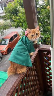 (Category: ) located in . Submitted by ismayusoff (Listing ID 1357019623, Image 1). Description: .