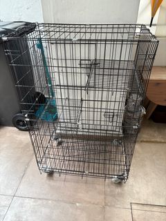 (Category: ) located in . Submitted by lizzylox (Listing ID 1357045143, Image 1). Description: .