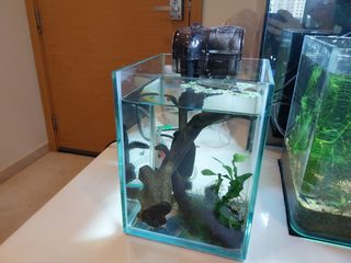 (Category: ) located in . Submitted by p30029 (Listing ID 1357260648, Image 1). Description: .