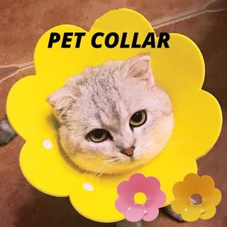 (Category: ) located in . Submitted by shoptsave (Listing ID 1357334190, Image 1). Description: .