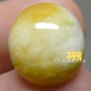 (Category: ) located in . Submitted by coffeebeansforsale (Listing ID 1357218601, Image 1). Description: .