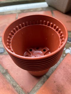 (Category: ) located in . Submitted by TableTopGarden (Listing ID 1357306308, Image 1). Description: .