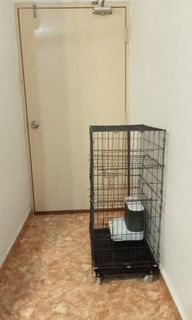 (Category: ) located in . Submitted by kimthanna (Listing ID 1357252903, Image 1). Description: .