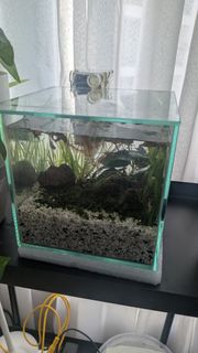 (Category: ) located in . Submitted by alwaysbespringcleaning (Listing ID 1361361856, Image 1). Description: .