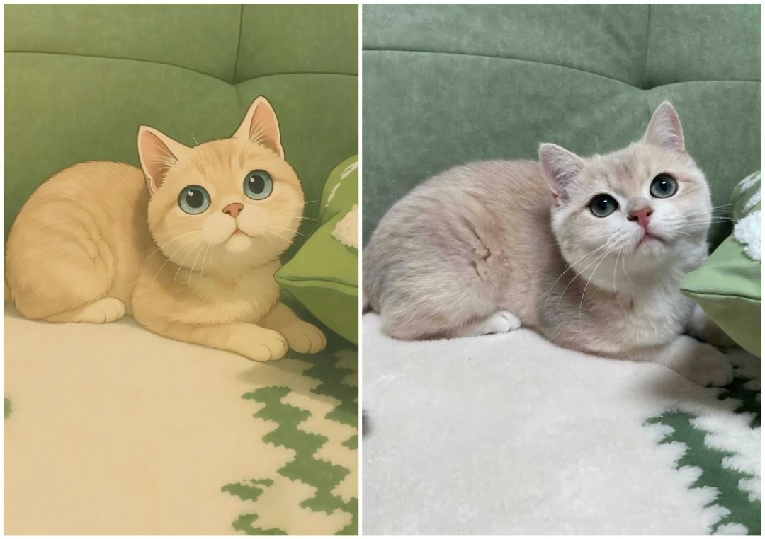 🌟Ai改圖吉卜力風格🌟ChatGPT Plus GPT-5.2 AI生成圖像功能升級開通到自己帳號/ 會員升級續期ChatGPT 5.2  Thinking Plus GPT-5.1 API Midjourney OpenAI 實體禮品卡