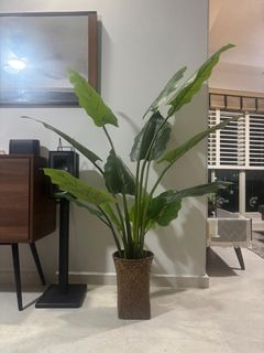 (Category: ) located in . Submitted by atip66 (Listing ID 1361469085, Image 1). Description: .