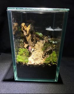 (Category: ) located in . Submitted by poddymania (Listing ID 1361475575, Image 1). Description: .