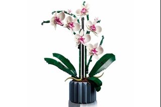 （分類：）位於 。 由 wencheryl 提交（商品編號 1361358267，圖片 1）。簡介： 。
