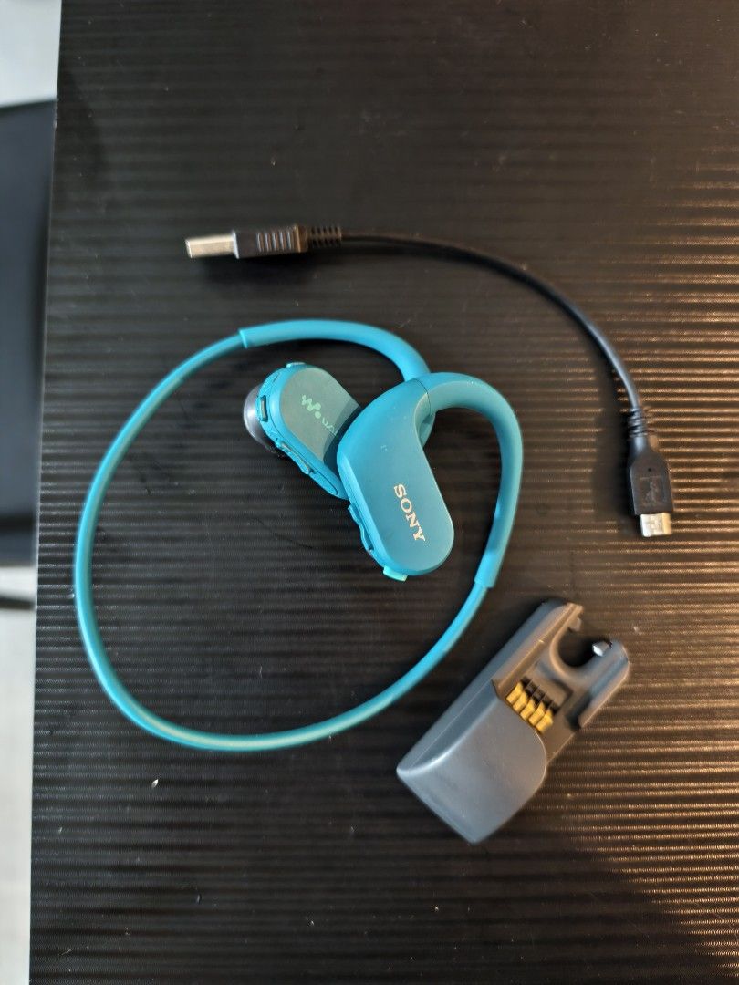 Sony walkman headphones