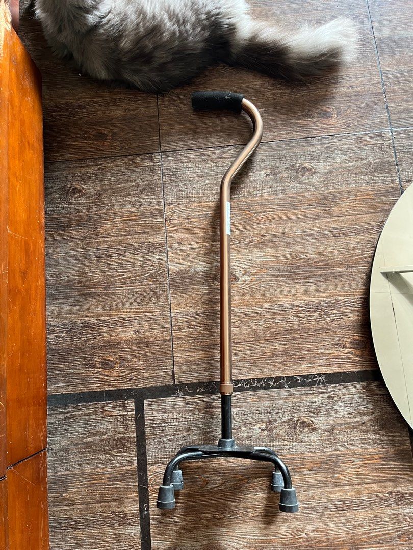 Walking cane (Category: Medical Supplies & Tools) located in Taytay. Submitted by bibidibabidiboo_1213 (Listing ID 1361369478, Image 1). Description: Walking cane Lightly used (only used twice).