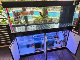 (Category: ) located in . Submitted by hydro2 (Listing ID 1362839947, Image 1). Description: .