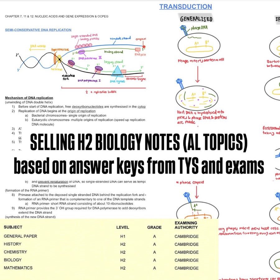 [90RP!] A Level H2 Biology Notes (digital)- all for $20 (consolidated ...