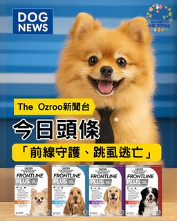 （分類：）位於 。 由 theozroo 提交（商品編號 1362860820，圖片 1）。簡介： 。