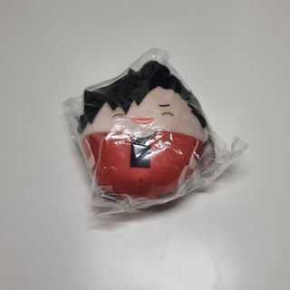 HAIKYUU Kuroo Small Fuwakororin Special Volume