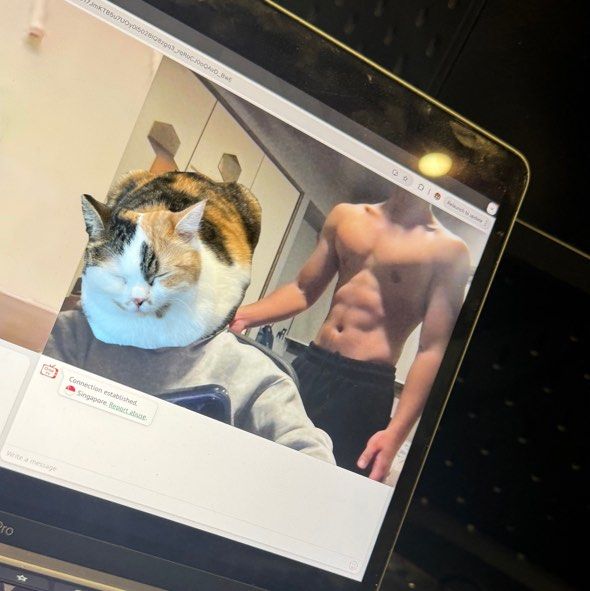 ONLINE TRAINING PROGRAM (Category: Weights & Dumbbells) located in Singapore. Submitted by malachiezra (Listing ID 1362873739, Image 2). Description: THE MOST RESEARCHED PROGRAM TAILORED TO YOUR INDIVIDUAL GOALS AND NEEDS FOR ONLY $12.