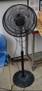 (Category: ) located in . Submitted by ida75 (Listing ID 1362887669, Image 1). Description: .