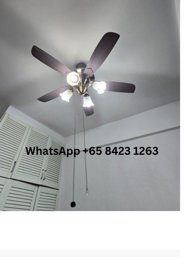 24/7 Electrician service| Light installation, LED light| cove light, drilling services | Electric Work |L-box, false ceiling62863076553473111