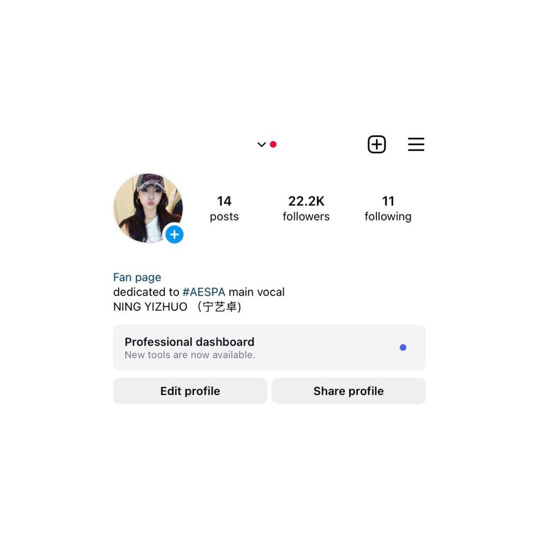 For Sale Instagram Account (Category: Looking For) located in Manila. Submitted by itzmealii (Listing ID 1363137991, Image 1). Description: dm for more infos!! .