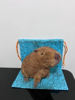 （分類：）位於 。 由 _cyrus_so 提交（商品編號 1363157964，圖片 1）。簡介： 。