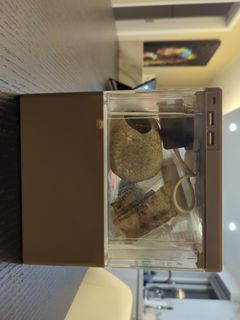 （分類：）位於 。 由 vastdragon.fc6c0b 提交（商品編號 1363122037，圖片 1）。簡介： 。