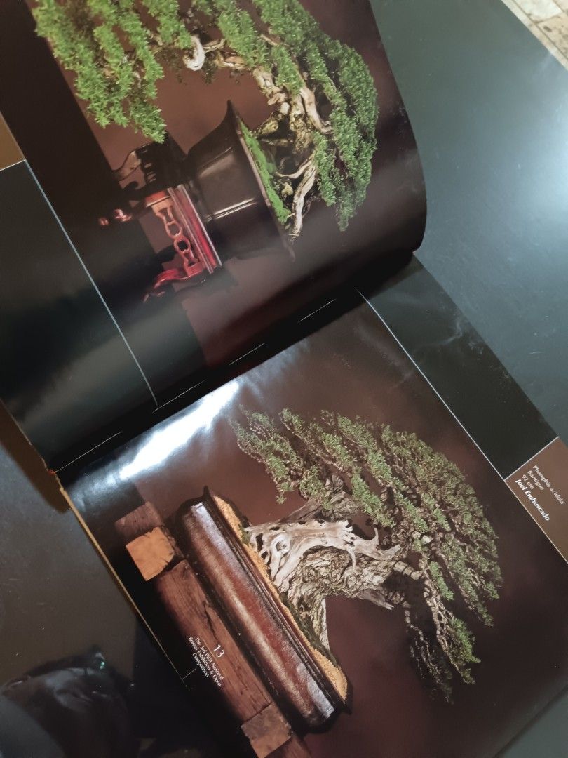 PHILIPPINE BONSAI GLOSSY COFFEE TABLE BOOK (Category: Textbooks) located in Quezon City. Submitted by berneydorm47659 (Listing ID 1363153362, Image 2). Description: GLOSSY COFFEE TABLE BOOK PUBLISHED BY THE PHILIPPINE BONSAI SOCIETY, INC. RARE AND IN GOOD CONDITION Huwag mahiyang magtanong! I can provide video and photos of the item if requested. For other details, PM is the key. No bogus buyer please. Thank you..
